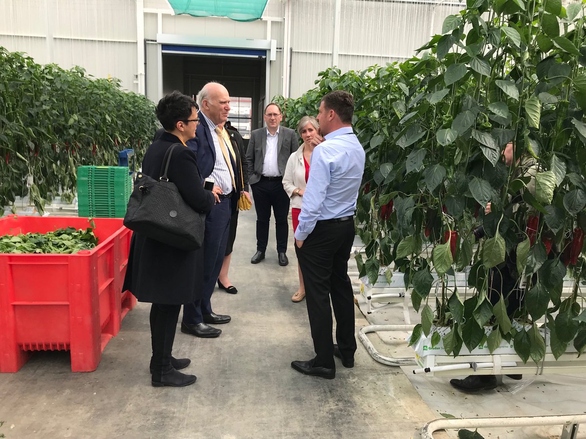Good to meet Sir Vince Cable &amp; Lib Dem candidates Daisy Cooper &amp; Barbara Gibson at ⁦<a href="/GlinwellPLC/">Glinwell PLC</a>⁩ looking at best of British produce &amp; discussing key issues. ⁦<a href="/LeaValleyGrower/">Lea Valley Growers 🇬🇧</a>⁩ ⁦<a href="/NFUPolitical/">NFU Political</a>⁩