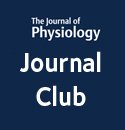 JPhysiol's tweet photo. Effects of combined #exercise #Training in older adults: a potential relationship between muscle fibre satellite cell function and #capillarization - https://t.co/KNgTWkrzNS by @Conceicao_MS Study funded by @AgenciaFapesp https://t.co/v2L6JuoUrG