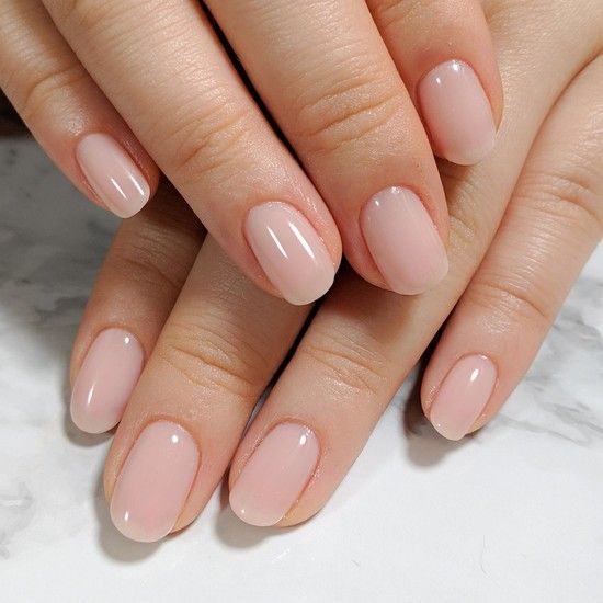 マオジェル Twitter Search