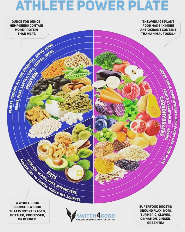 vegannutrition1's tweet photo. Look at this plate! No animal products in sight &amp; purely focusing on the nutritional aspects we can gain from plants.
Lets take into consideration the colossal loss of life &amp; detriment to our planet that we contribute to by not eating a #plantbased diet.
Its a no brainer
#GoVegan https://t.co/pQzotAj5G9