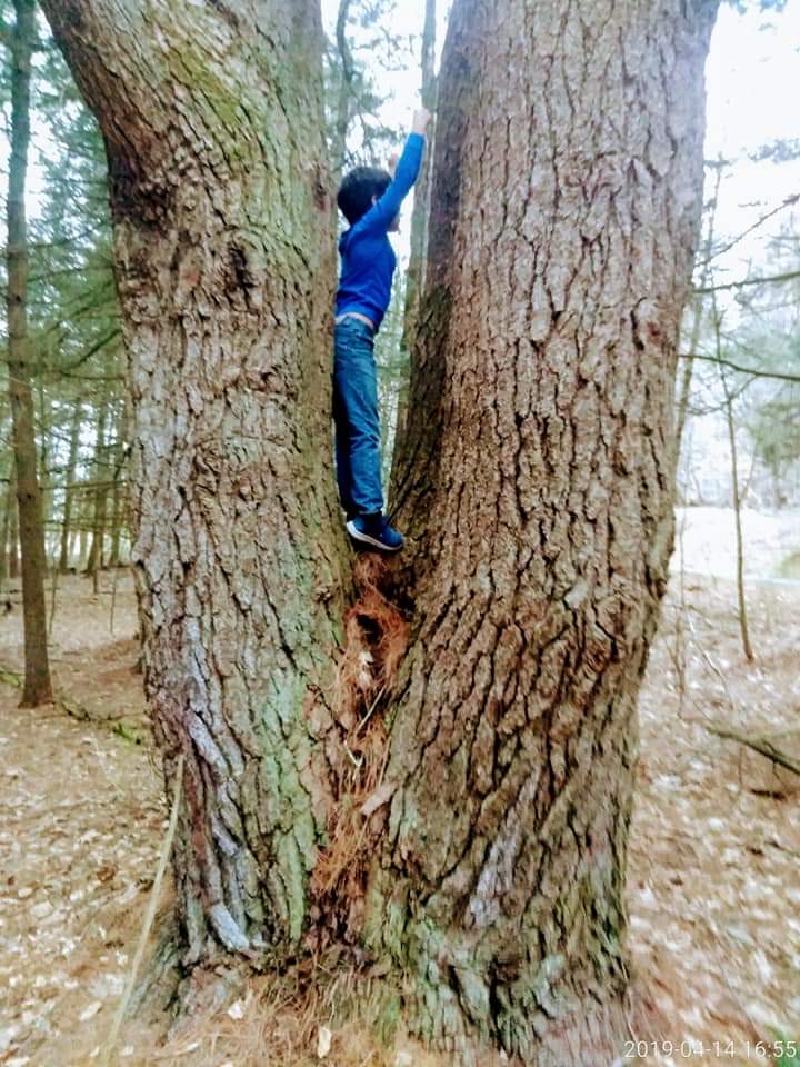 OJr80Rivers's tweet image. One #1he is whom has realized that trees are stronger and older than humans 😎👊💪🙏❤️