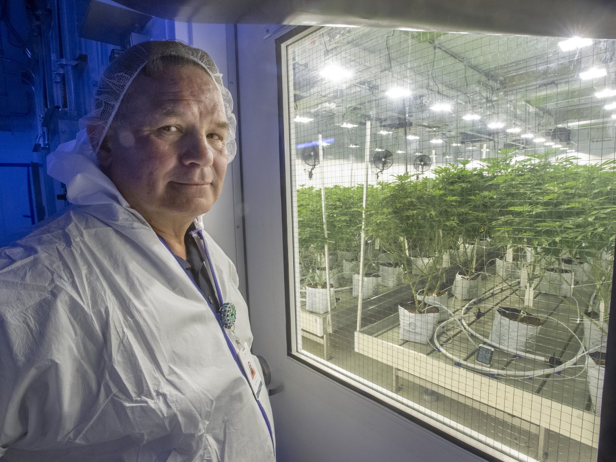 Tax and licensing issues standing in the way of Indigenous cannabis entrepreneurs
cp24.com/news/tax-and-l…