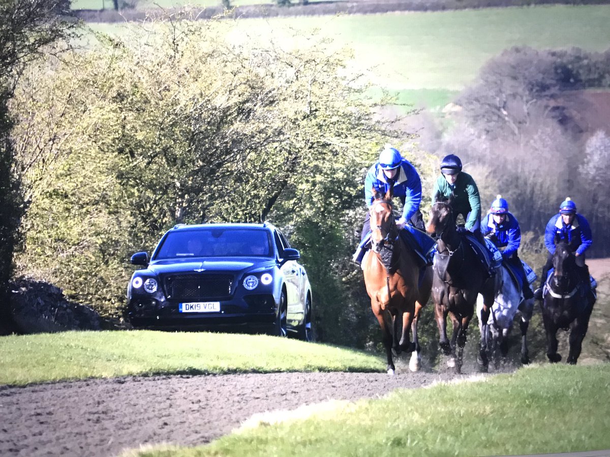 Morning exercise at Jackdaws Castle alongside the <a href="/RybrookBentley/">Rybrook Bentley Bristol</a> Bentayga! The green of Longcroft Building Services fitting in well with the blue of the <a href="/Jewson/">Jewson</a> army! <a href="/AriatEurope/">Ariat Europe</a> <a href="/aqueoscare/">Aqueos</a> <a href="/HAYGAINUK/">Haygain UK</a> <a href="/GAINEquine/">GAIN Equine Nutrition</a> <a href="/GatehouseHats/">Gatehouse Hats</a> <a href="/Lauralongcroft/">Laura Day</a> <a href="/SederholmLtd/">Sederholm Ltd</a> <a href="/Brownedaughters/">Browne and Daughters</a>