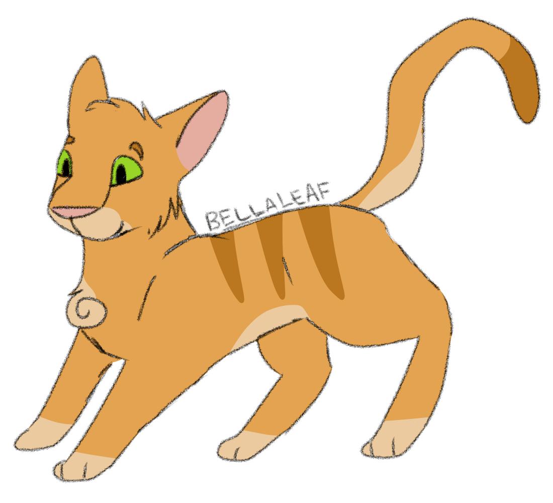 MayOfOak's tweet photo. Have drawn four more cats! Please comment below who you want me to draw next!!! I will draw the first four cats. #warriors #warriorcats #bellaleaf #windstar #hawkfrost #graypool https://t.co/nTuK4px2oX