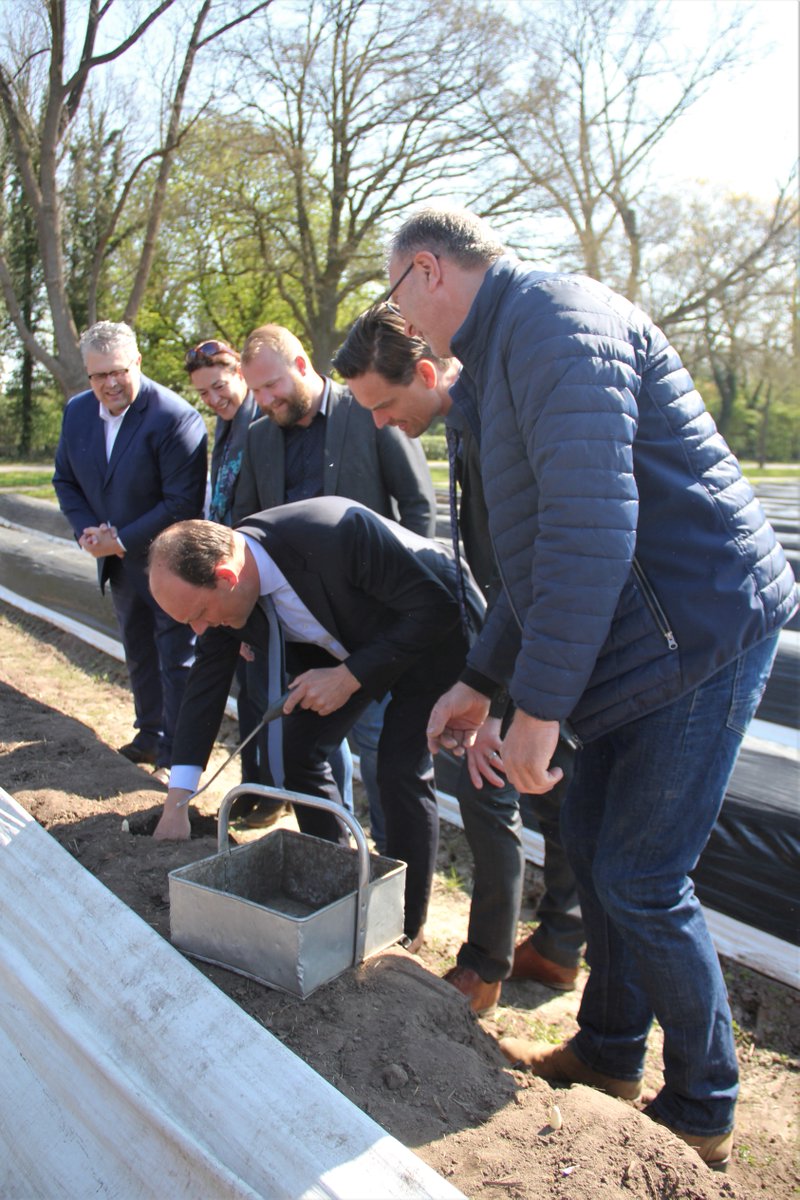 gemhardenberg's tweet photo. Het smakelijke aspergeseizoen is vanmiddag van start gegaan. Het college van B&amp;W mocht de allereerste asperge steken. ‘Het witte goud uit het Oosten’, is één van de verrukkelijke producten waar het Vechtdal en Salland om bekend staan. https://t.co/xD08wC3kgN
