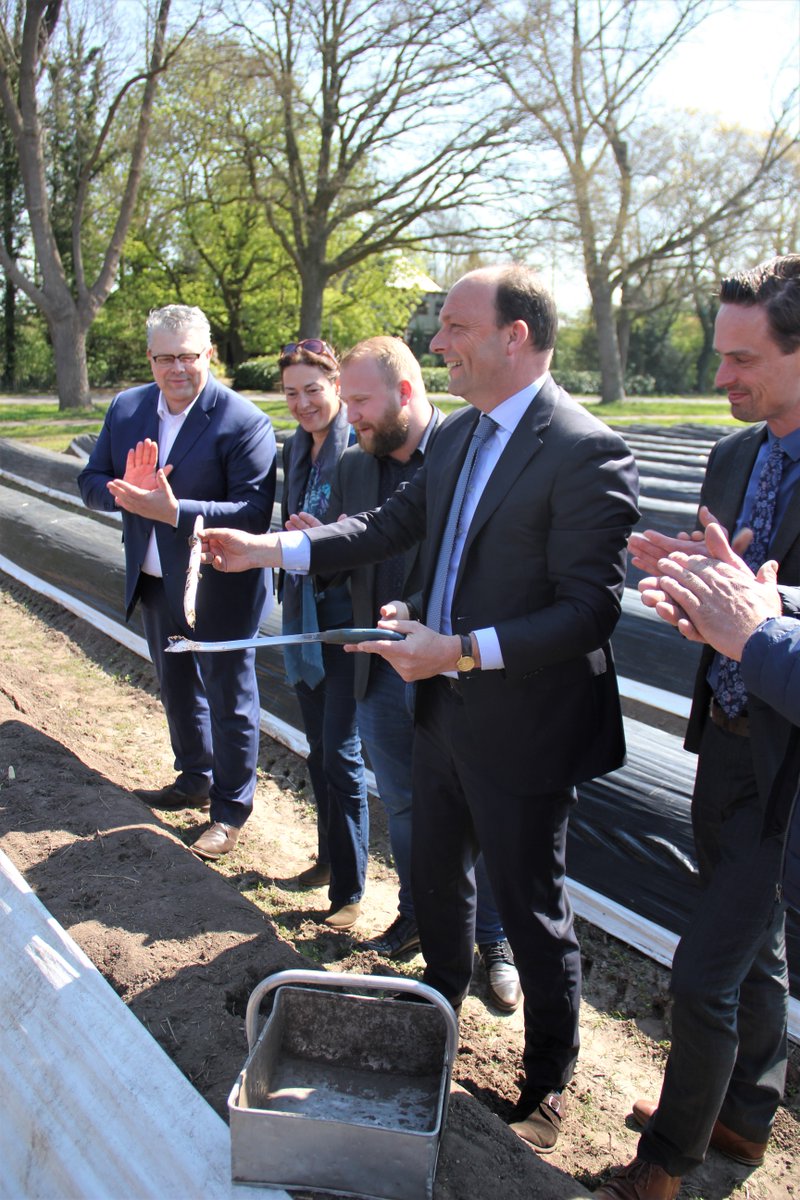 gemhardenberg's tweet photo. Het smakelijke aspergeseizoen is vanmiddag van start gegaan. Het college van B&amp;W mocht de allereerste asperge steken. ‘Het witte goud uit het Oosten’, is één van de verrukkelijke producten waar het Vechtdal en Salland om bekend staan. https://t.co/xD08wC3kgN