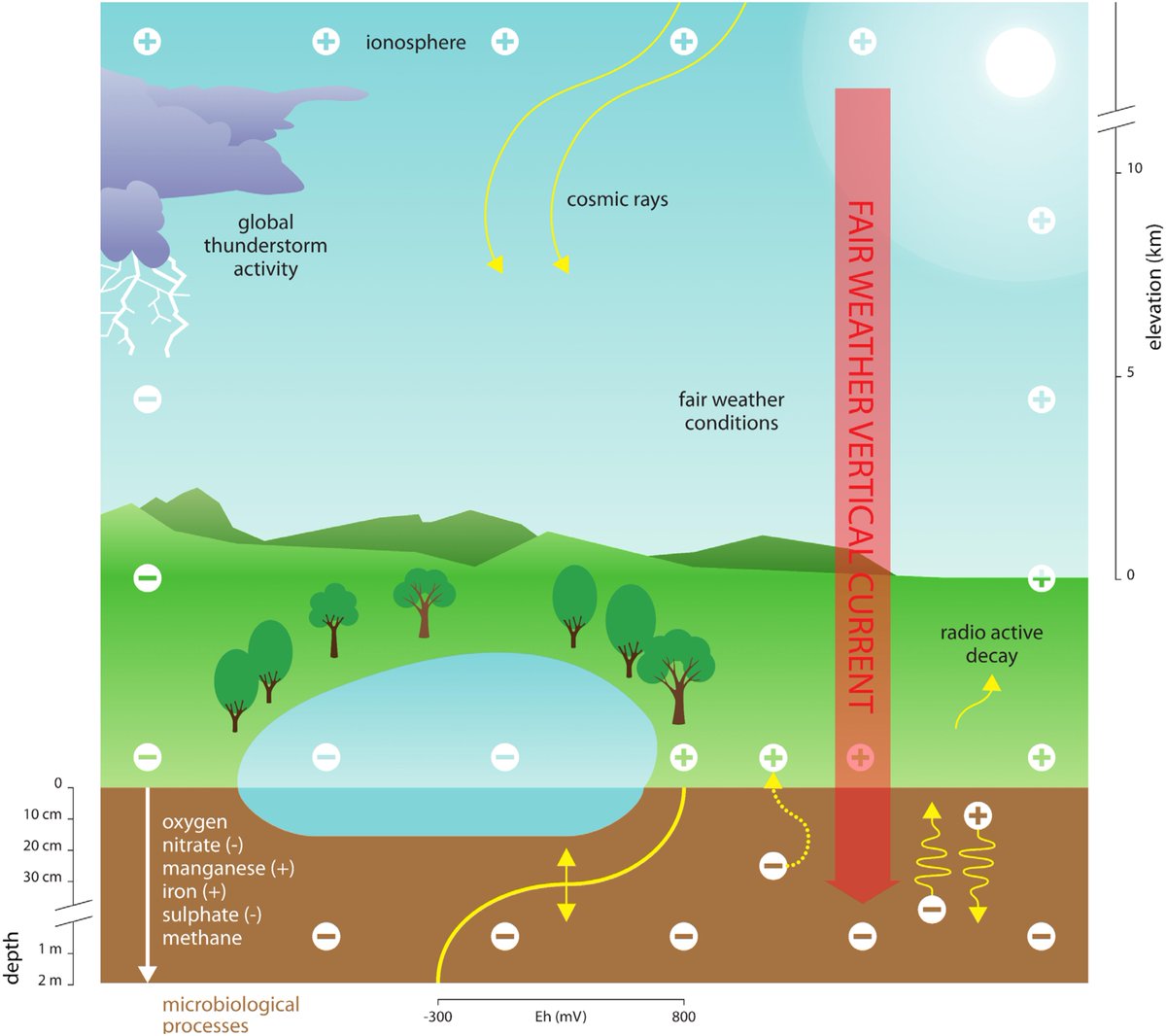 NadjaBrun's tweet image. This could electrify you: A mind-boggling perspective on the connection between atmospheric electricity and the living environment.
frontiersin.org/articles/10.33…