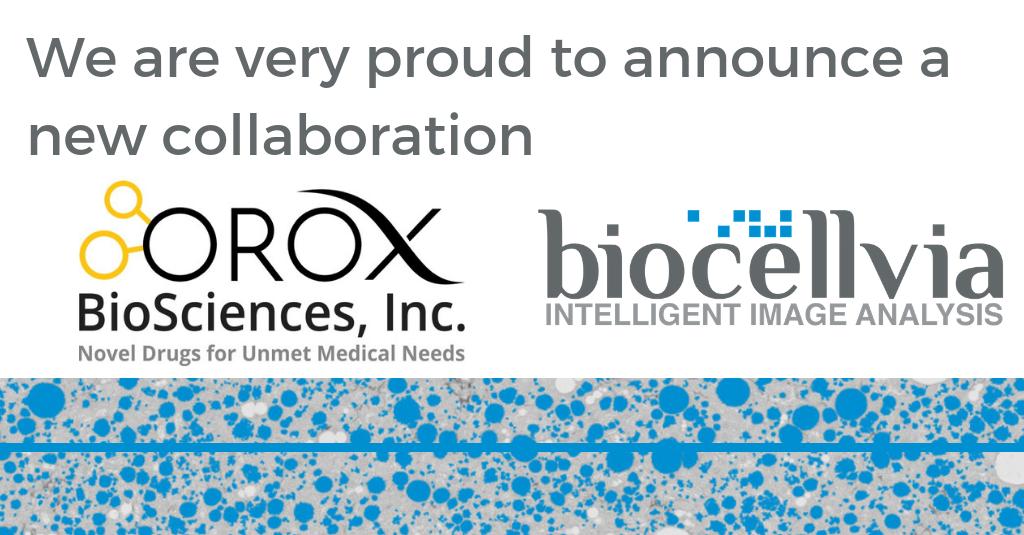 That's great news for us ! Discover our other public references by clicking on the picture : biocellvia.com/references

#reference #startup #client #pharma #biotech #medtech #NASH #IPF #ILC19 #liver #lung #pulmonary #fibrosis #fatty #disease