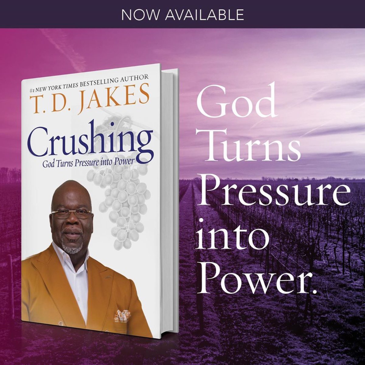 BishopJakes's tweet image. Today is the day! My new book Crushing is now available in stores!!! Learn how your greatest pain can unlock your greatest power. Get your copy at itcrushedme.com⁣⁣! #ItCrushedMe⁣