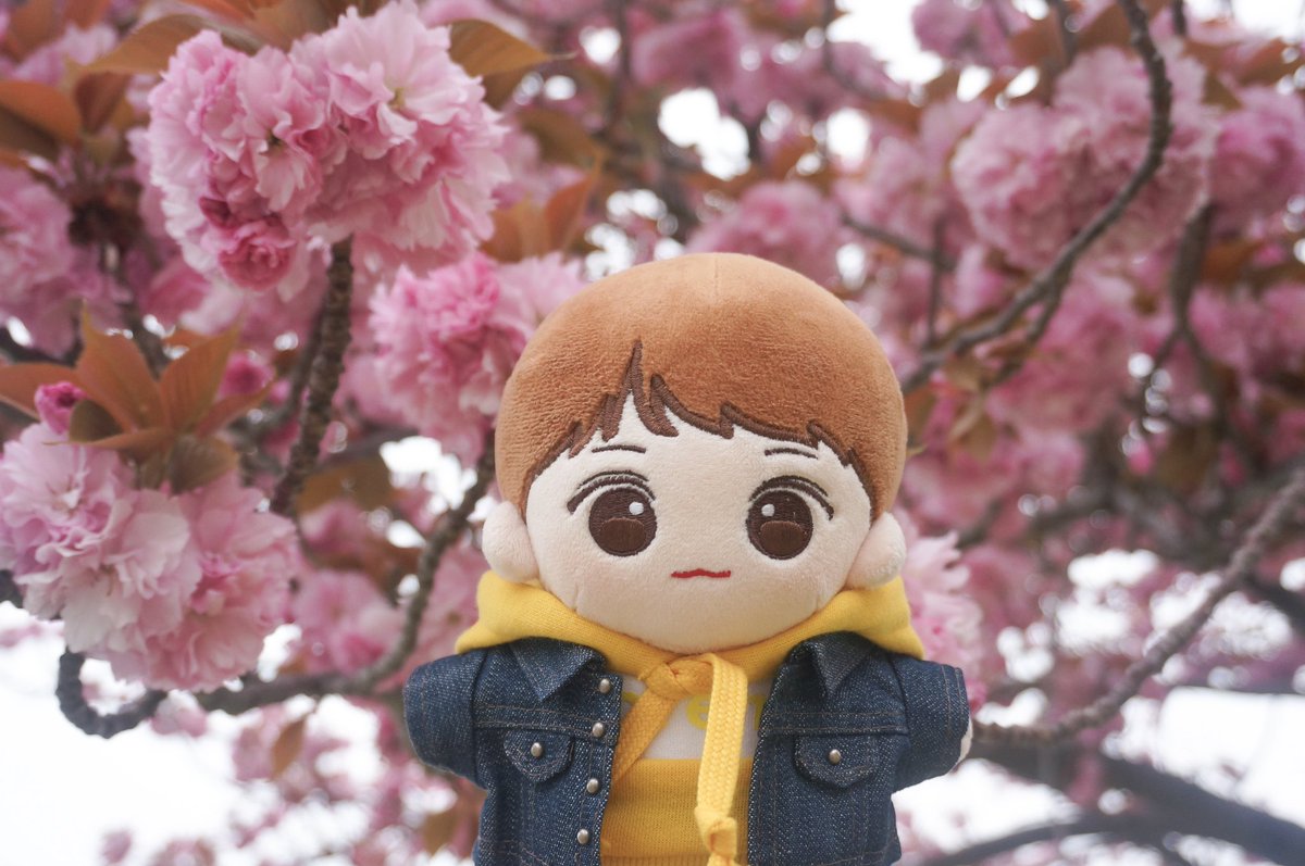 꽃보다 예쁜 💖 #박지훈 #윙뽀 #아가윙