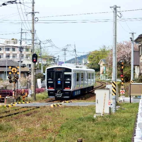 もっち mocchi tweet media