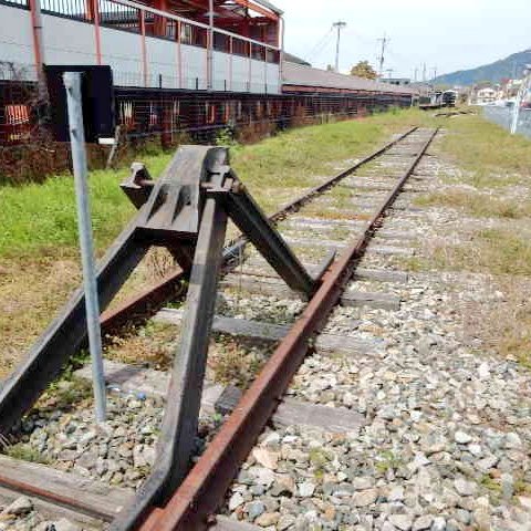 もっち mocchi tweet media