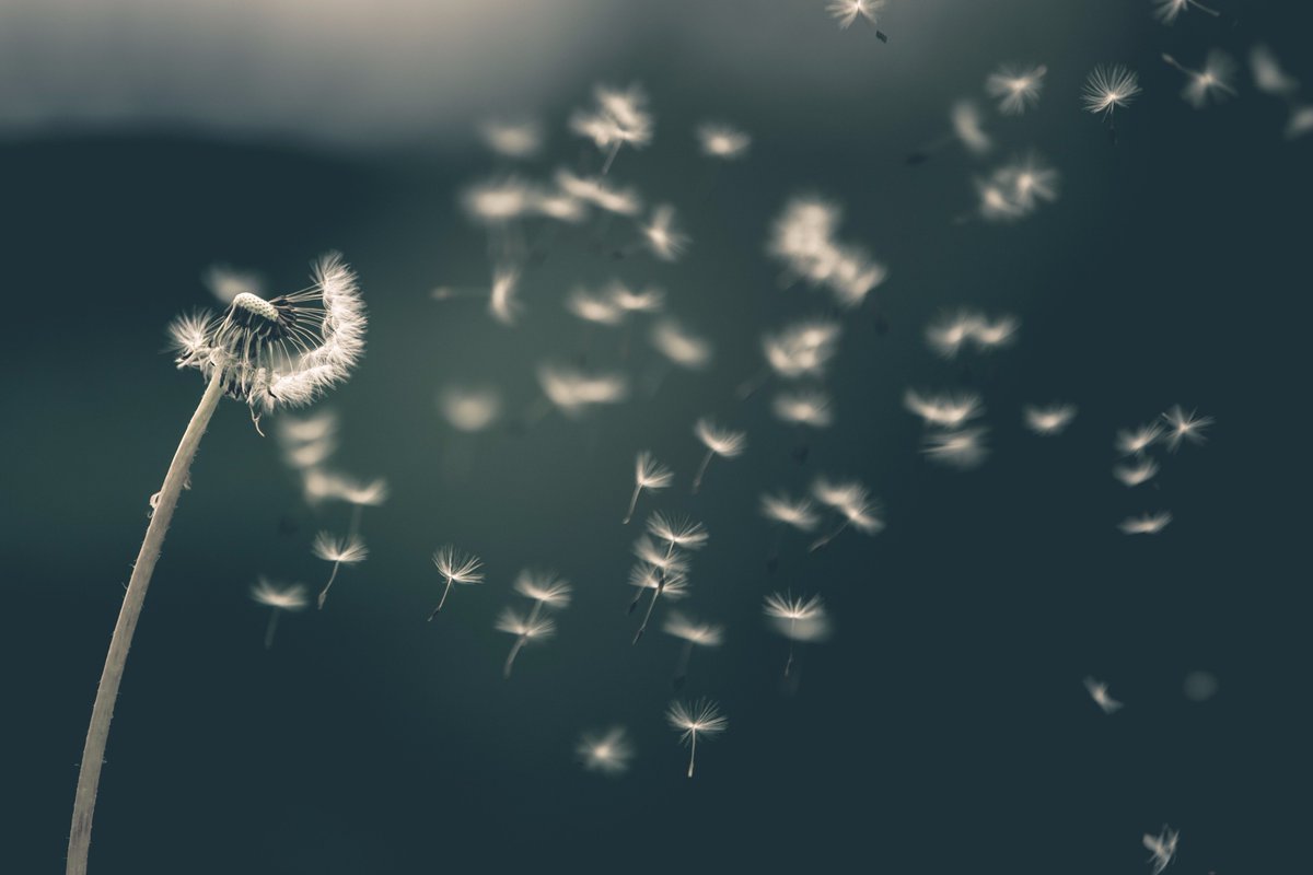 GraceCordovano's tweet photo. Today is #NationalHealthcareDecisionsDay. We plan &amp; overplan for everything. Have you had a conversation with your loved ones about your wishes for the end?

 https://t.co/wBki0uSvPX #NHDD #EoL #hcldr #patientchat #AskPatients #TuesdayThoughts

📸 Saad Chaudhry (Unsplash) https://t.co/5cZA2On1Dd