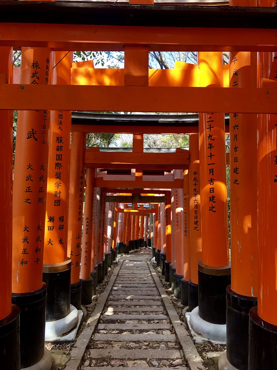 elleam_'s tweet photo. Je suis aller au Japon 🌝🇯🇵 https://t.co/MMRkD5uMG3