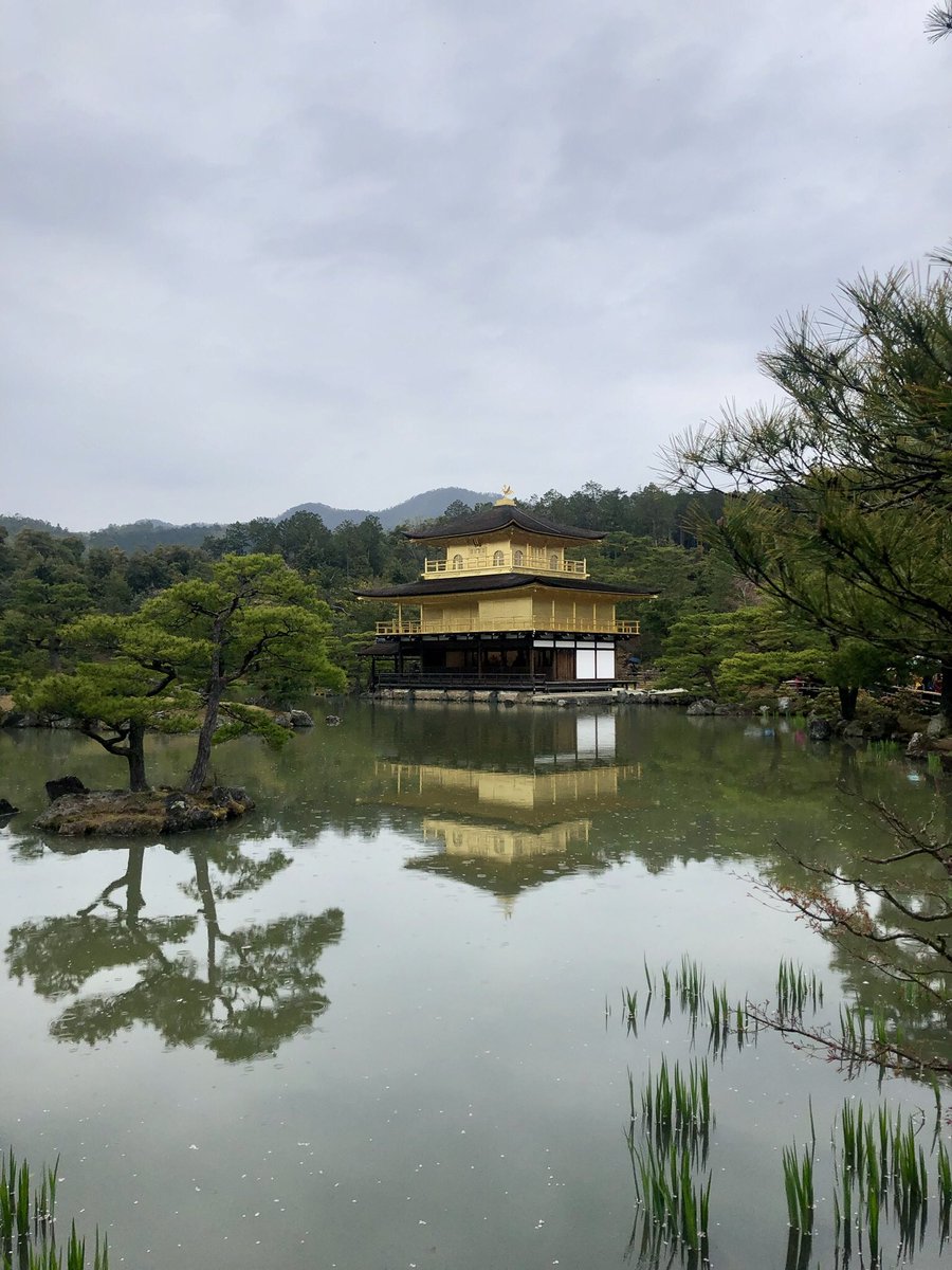 elleam_'s tweet photo. Je suis aller au Japon 🌝🇯🇵 https://t.co/MMRkD5uMG3