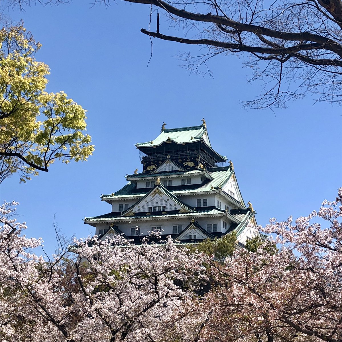 elleam_'s tweet photo. Je suis aller au Japon 🌝🇯🇵 https://t.co/MMRkD5uMG3