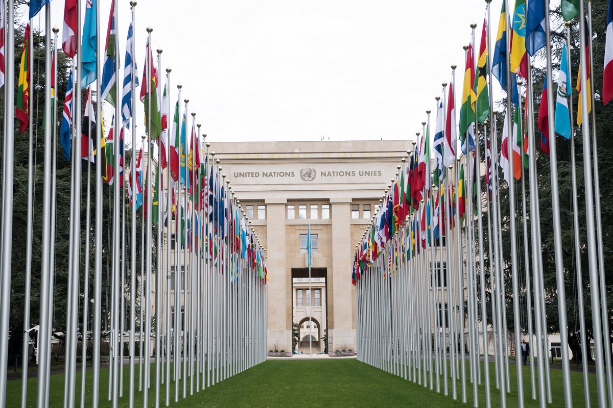 OUGlobalAffairs's tweet photo. Want to enhance your knowledge of global economics, politics, and culture? The M.A. in Global Affairs program is the answer. Learn more today: https://t.co/7SdZf01ycL https://t.co/TdD4Fyfm8c
