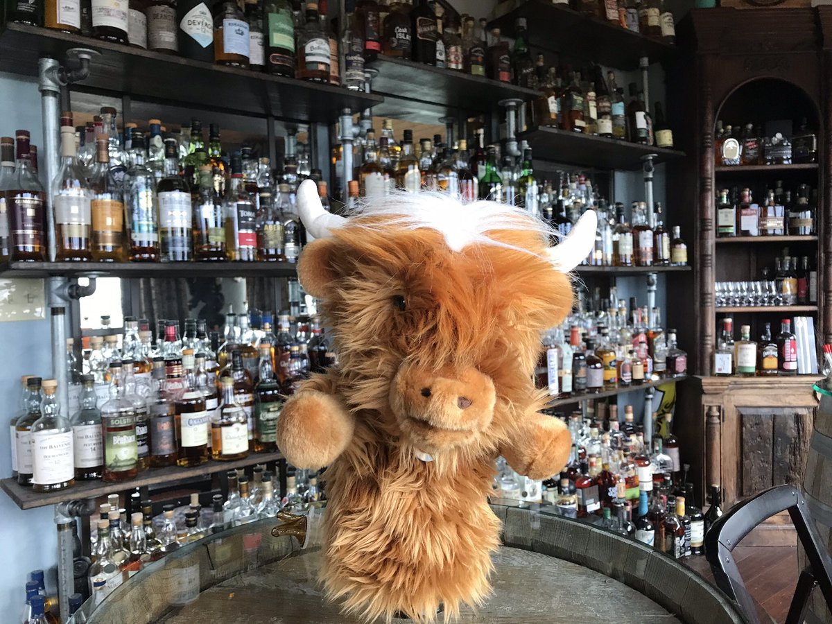 Getting ready for day 2 of the level 3 class at Whiskey Marketing School!  <a href="/MacHaggis2/">MacHaggis</a>