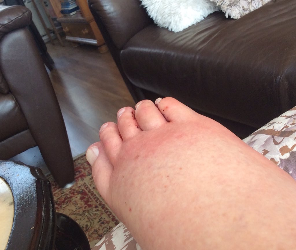 Yvonne Gras tweet media