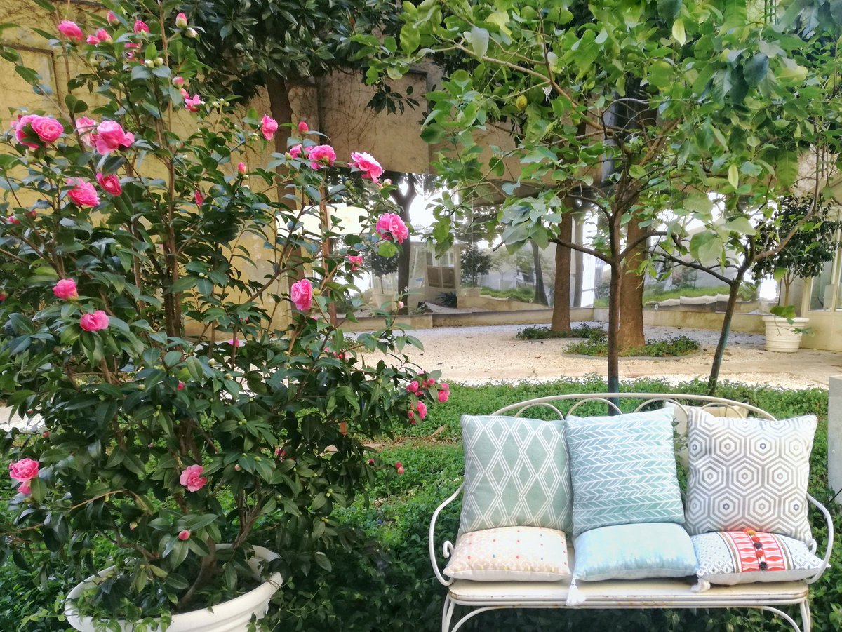 dreamfactorylab's tweet photo. Waiting to going back to normal after #fuorisalone, we enjoy our beautiful blossoming garden 🌸
 #location #venue #eventlocation #eventvenue #locationscouting #locationmilano #milanolocation #locationeventi #eventi #events #milano #art #arte #artdaily #dailyart #artlovers https://t.co/N6nHbrBZcx