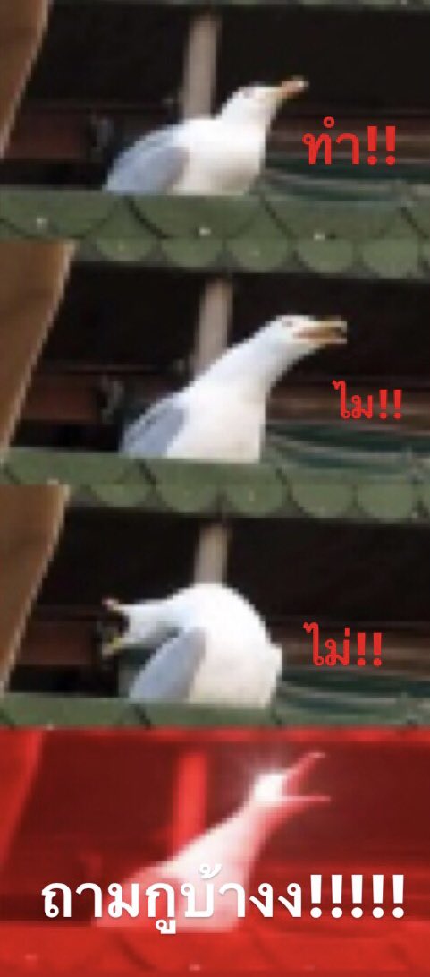 𝗺𝗵𝗼𝗸 tweet media