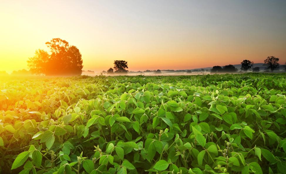 HarvestReturns's tweet photo. Invest in an #OpportunityZoneFund that will create positive impact across the agricultural industry.
https://t.co/38PYNYpGJo https://t.co/wddKdZcRwc