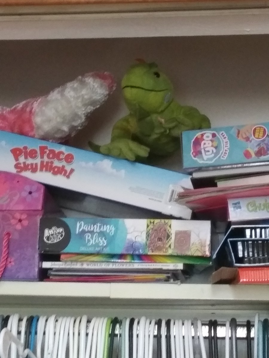 Kaylee and Katherine read #HankZipzer and cleaned Kaylee's room. But Katherine did take a break to take a cat ride.  #learningwithalizard <a href="/OsobRidge/">Ridge One School One Book</a>  <a href="/RidgeElemMentor/">Ridge Elementary</a>