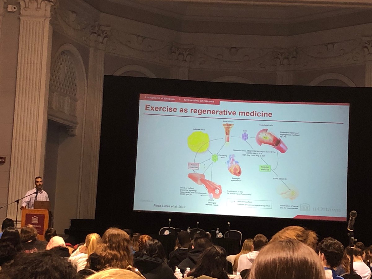 Neda Bernabo (she/her) (@nedabernabo) on Twitter photo Exercise as regenerative medicine! <a href="/SCTOttawa/">StemCellTalks Ottawa</a> Learning from Dr.Michael De Lisio #ocsbSHSM Exercise as regenerative medicine! <a href="/SCTOttawa/">StemCellTalks Ottawa</a> Learning from Dr.Michael De Lisio #ocsbSHSM
