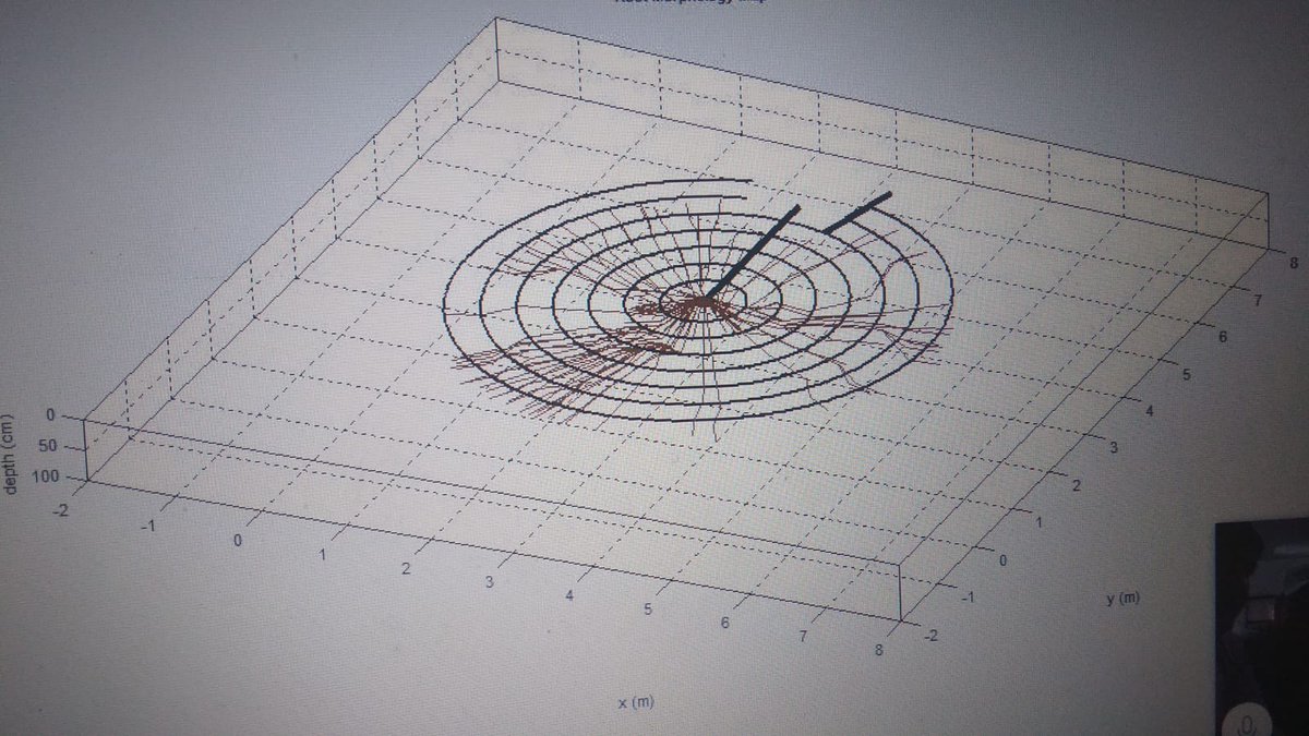Hoy recibimos el informe de <a href="/vernengo/">andres vernengo</a> <a href="/El_Pilon/">EL PILÓN</a> del sistema radicular del Palo e mango de <a href="/Valledupar_Col/">Valledupar</a> indica que ha sufrido daño en su sistema radicular
Afectación en el anclaje y estabilidad
Reducción de las reservas energeticas y la capacidad d absorción d agua y nutrientes