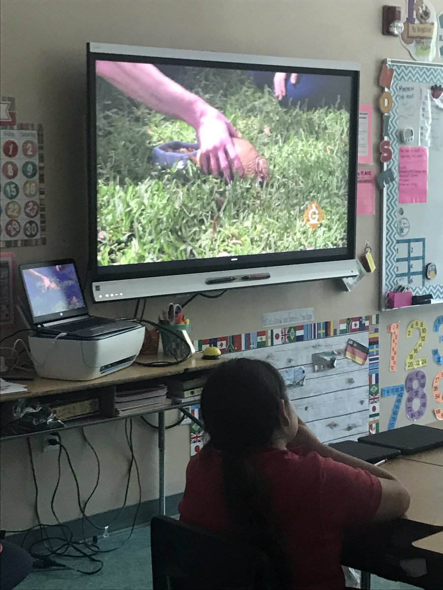 MsJonesistheJam's tweet photo. Animal Adaptations with @GG_Learning My kids love the videos and the real world connections. @BonitaCharter @JessMyersCRT We should get this for our school!!! https://t.co/TtRNVRagT2