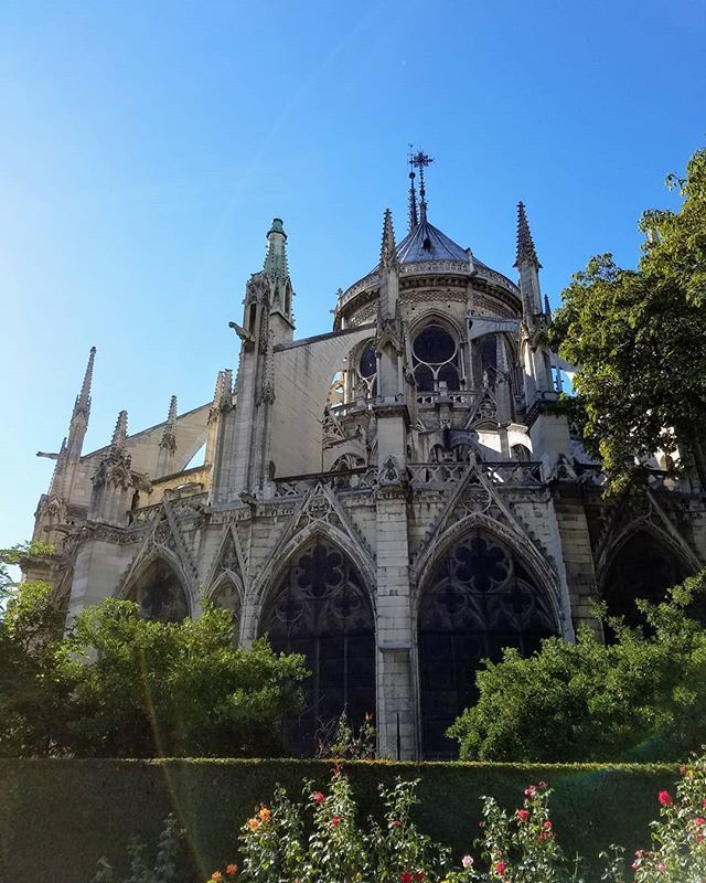 I'm still shocked about Notra Dame. It's amazing how fragel everything on the earth is. It's such a shame to loose these cultural monuments. bit.ly/2DfearC