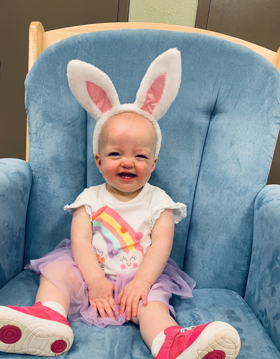 ecdcelephants's tweet photo. Hoppy Easter egg hunt day!🐰🐣🥚#part2 https://t.co/OSEQBmCuZq