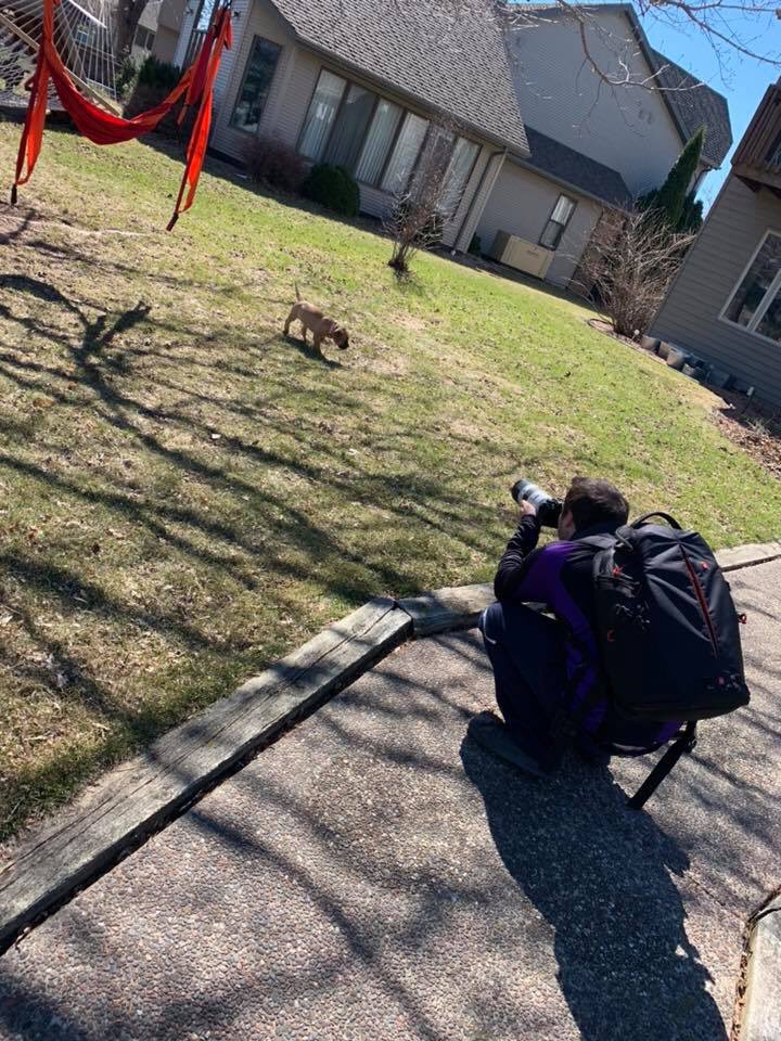 daynematson's tweet photo. So my mom got a puppy a few days ago and her delivery driver apparently does photoshoots for dogs too. So he pulls his camera out of his mail truck, asked to take some photos and 😭😭 https://t.co/uOMzdm9PEk