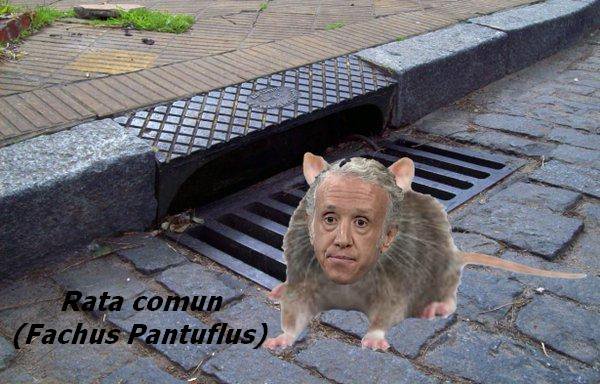 txerokired's tweet photo. @_anapastor_ Criterios #Pantuflos??🤔 https://t.co/yxhwDaRxM3