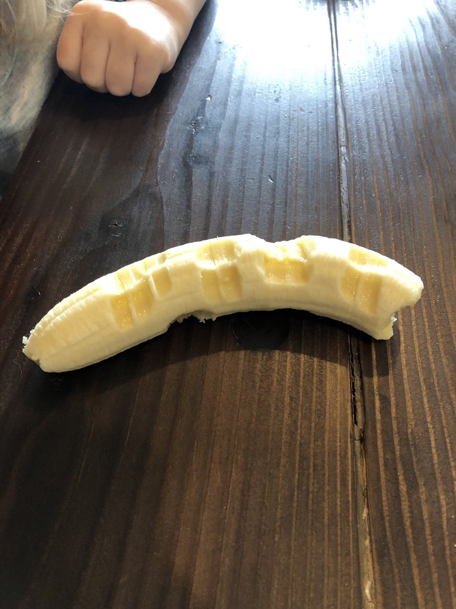 rn_er_c's tweet photo. What in the entirety of fuck is wrong with my child https://t.co/6qUtjw60Ef
