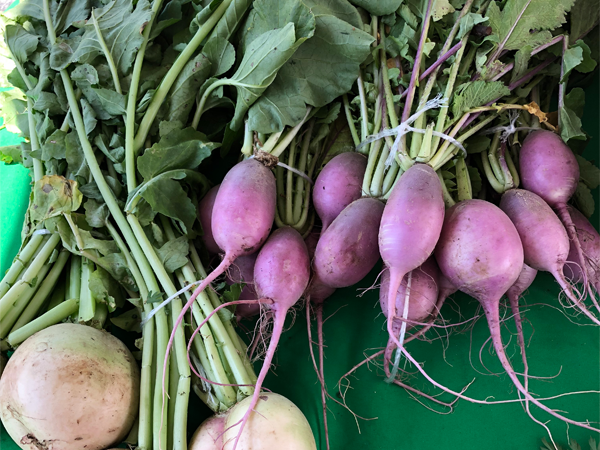 ParramoreMarket's tweet photo. Do you grow fresh fruits and veggies? 🍏🥕Become a vendor at our market!

Spots start at just $10. Visit https://t.co/2OSEkfdJAR to fill out our online application. https://t.co/GDm4ilY4wF