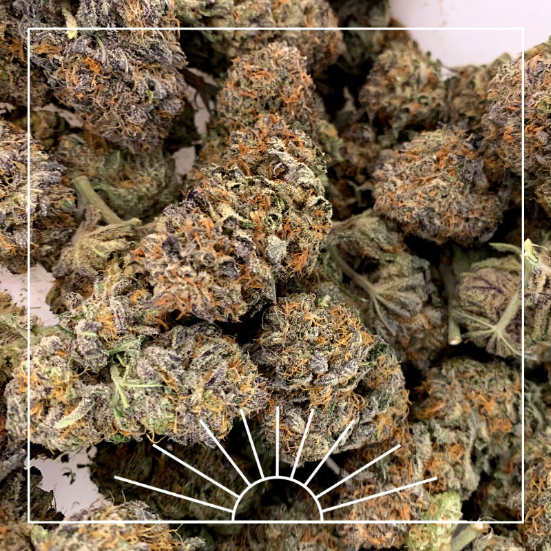 baskfairhaven's tweet photo. Alion (Blue Dream x Alien Kush) What strain would you like to see highlighted next?
.
πΈ: Nicole Looker
#newengland #cannabiscommunity #forthepatients #mammj #massmmp #grassachusetts #baskfairhaven #terps #massdispensary #cannabiscultivation #alion #nwroots #bluedream #alienkush https://t.co/VW5s3M28hp