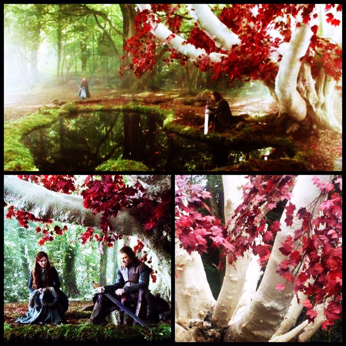 “Once upon a time we were happy, my lord and I. But war came to us. 

And once more there’s a war.” 

#GameofThrones