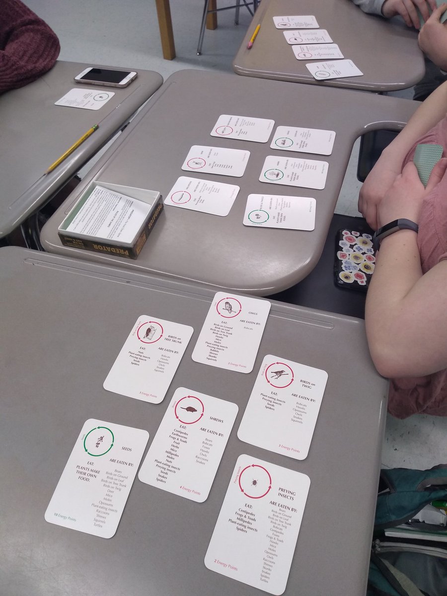 msqutub's tweet photo. Students playing a food web and food chain card game! #MTPSPride #biologyclass https://t.co/Mxot0Pjtbm