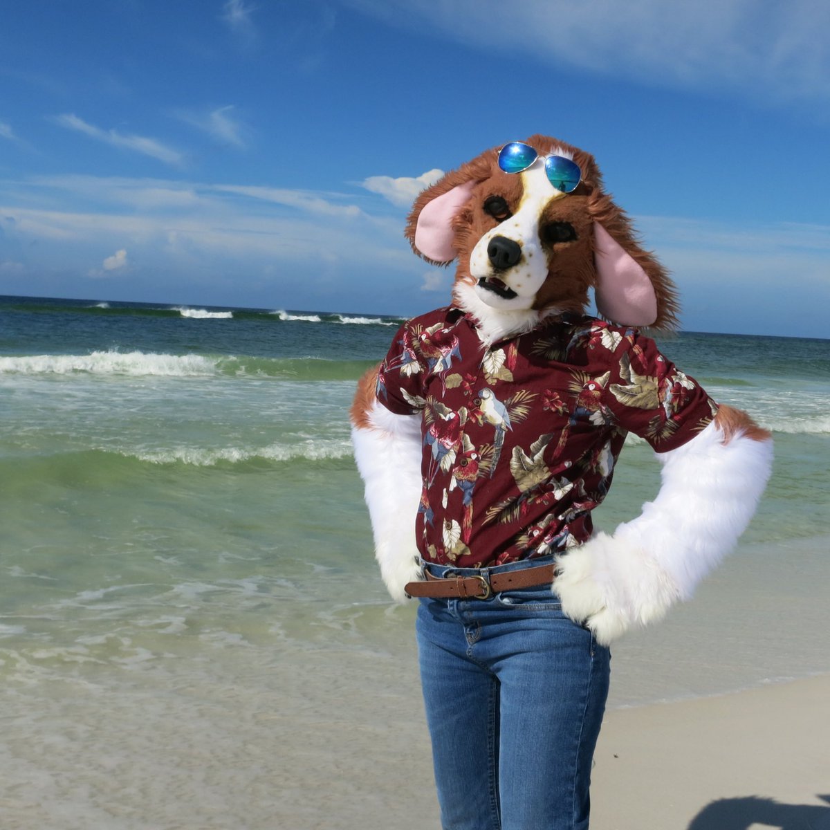 RetroSpaniel's tweet photo. Shoutout to my excellent maker @SarahcatFursuit ! My suit is gorgeous and so fun to wear! I couldn’t be happier! https://t.co/z32BaixOEt