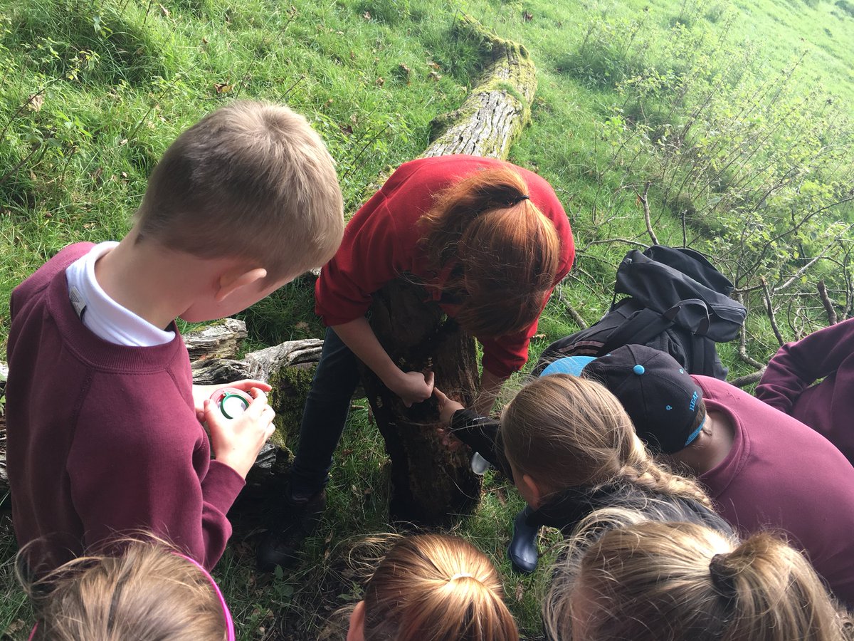 Sandford Award tweet media