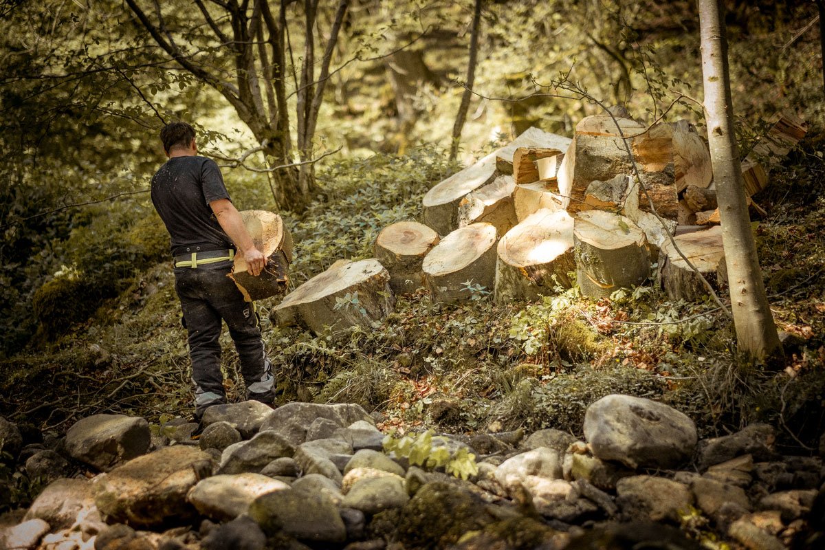 Just another day at the office...

#arborist #treesurgeon #treework #loggerlife #treefelling #treeremoval