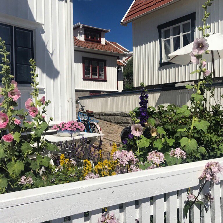 foffamilyoffice's tweet photo. Söker du ett nytt hem för dina affärer och vill bygga ditt Family Office?
Hör av dig på info@foffamily.se.
#sports #wealth #health #hockey #fotboll #golf #law #sportmanagement #tax #assetmanagement #home #insurance #benevent #iplaysport #ZTAR #familyoffice #foffamily https://t.co/kGuHkPKTYp