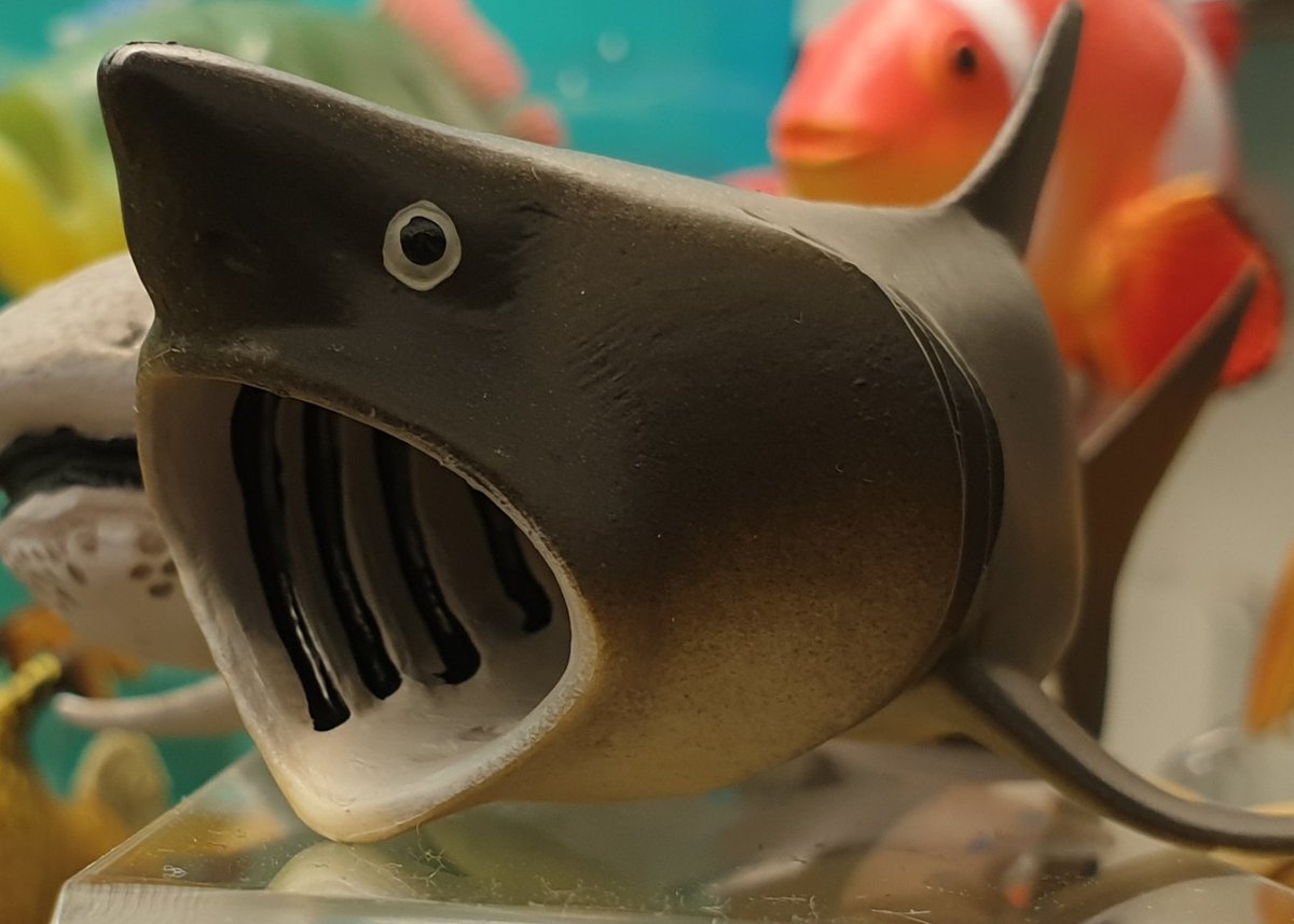 toysharks