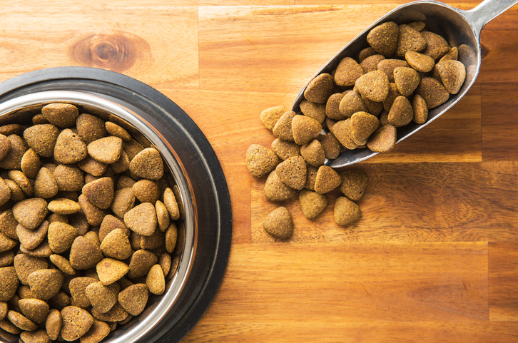 Dog_Tap's tweet photo. What’s the Best Low-Protein Dog Food for Your Pooch? https://t.co/Xtw08iYnYG https://t.co/U6zkCrVPhb