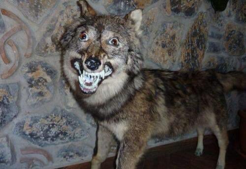 memorrylanee's tweet photo. Me when someone starts joking about something I’m actually really insecure about: https://t.co/nRYZPzWb0S