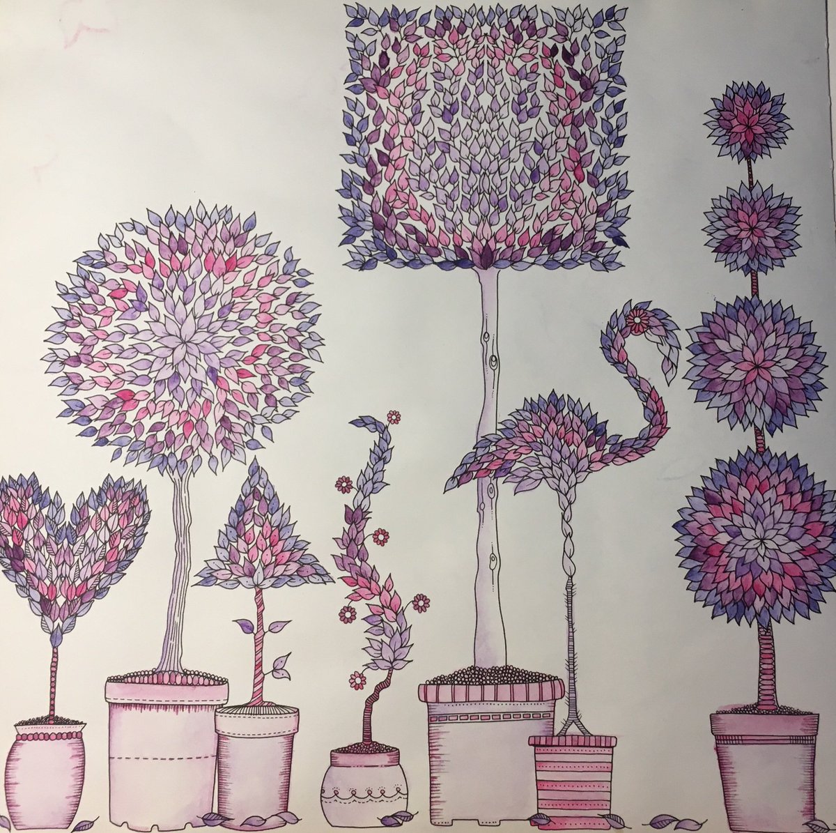 Kylie Colours (@kylie_colours) on Twitter photo 