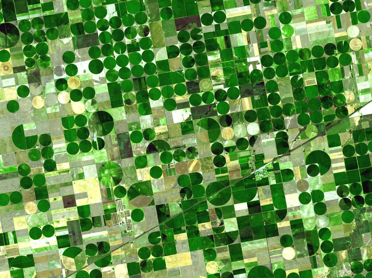 LatamSatelital's tweet photo. Acuerdo entre @Airbus y @climatecorp
Imágenes de los satélites #SPOT6, #SPOT7 y #Pléiades operados por @AirbusSpace serán incorporadas en la plataforma de agricultura digital #FieldView de The Climate Corporation 🛰️🚜
https://t.co/Yam0ZMz9AX https://t.co/GeBCZatRhA