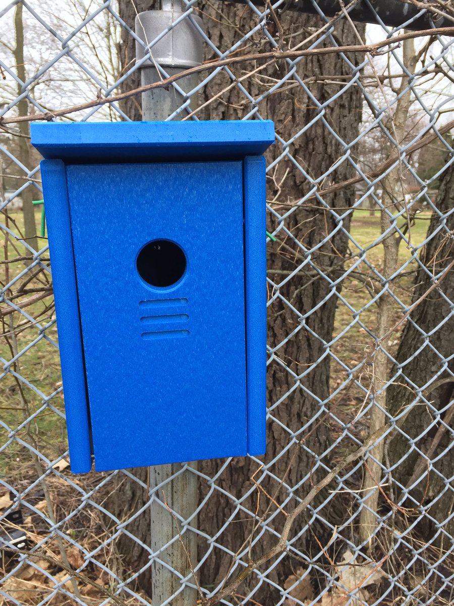 teslafounder178's tweet photo. #projectnestbox @Harrisfield1 is ready for a mama bird! This one is in the kinder area! #tvdsbkinder https://t.co/Pfri3p8x9M