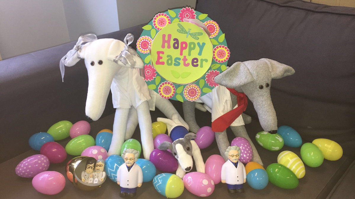 GreyhoundGeorge's tweet photo. Myself and @GreyhoundGina have been getting in to the Easter spirit along with friends from @Labmate_online today!🐇🥚#myLabmate https://t.co/PEErdcRGzf